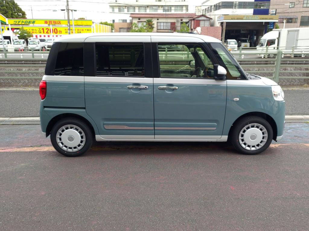 ムーヴキャンバスストライプスＧの写真 10