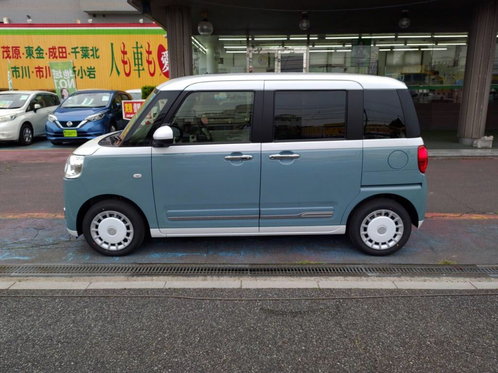 ムーヴキャンバスストライプスＧの写真 12