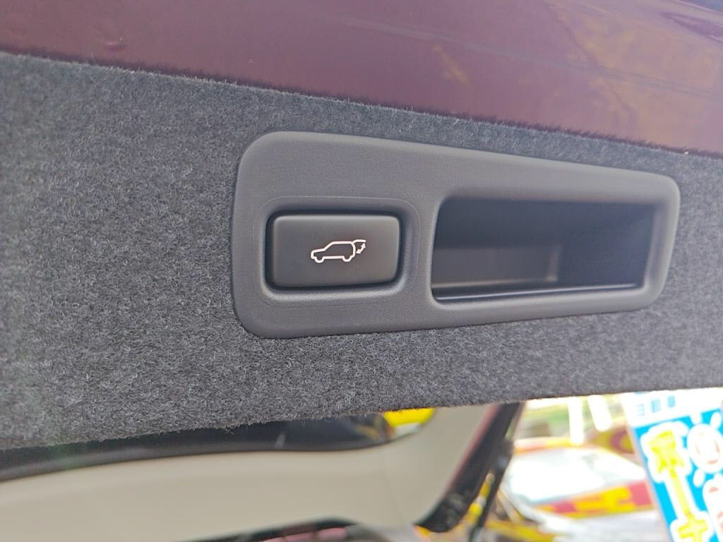 ＲＸＲＸ３５０バージョンＬの写真 27