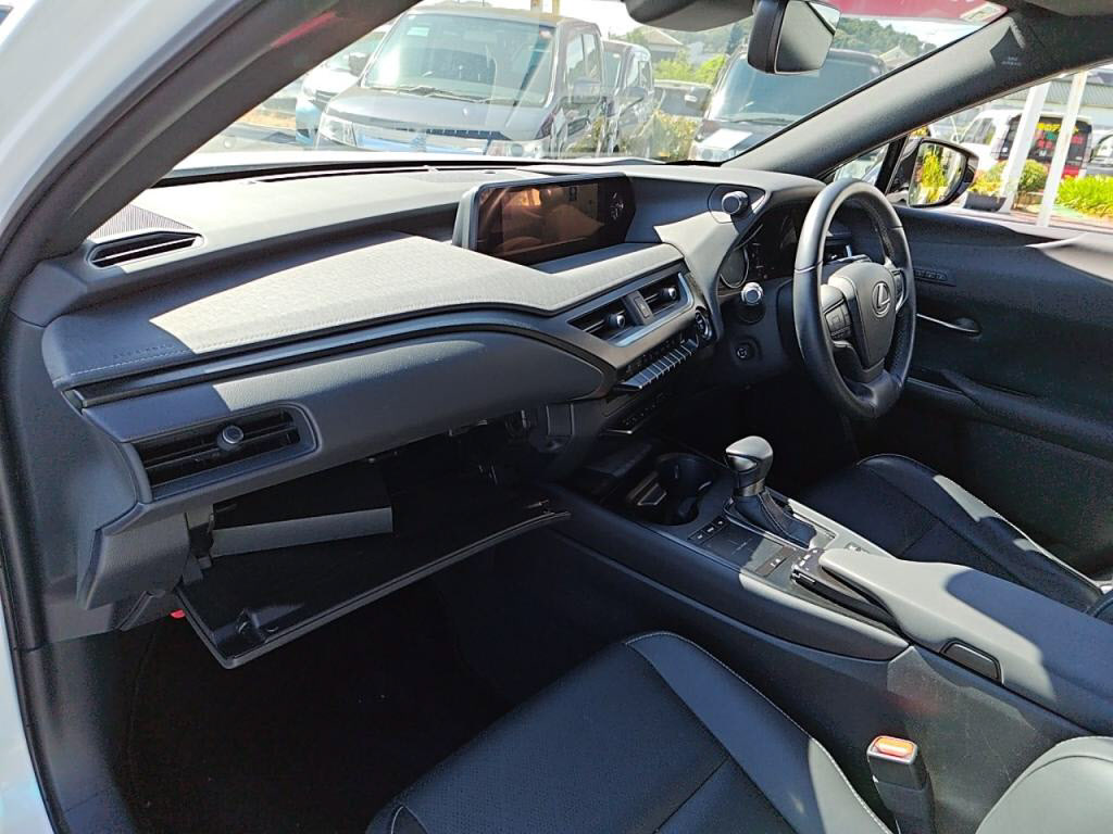 ＵＸハイブリッドＵＸ２５０ｈバージョンＬの写真 22