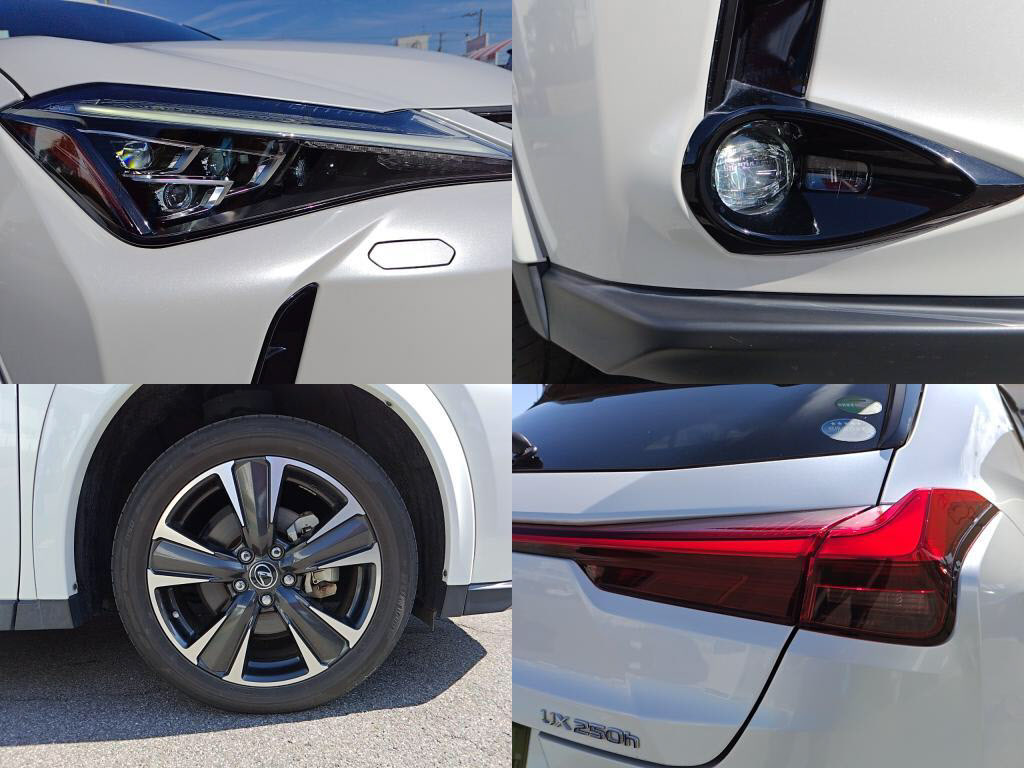 ＵＸハイブリッドＵＸ２５０ｈバージョンＬの写真 4