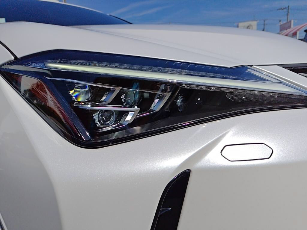 ＵＸハイブリッドＵＸ２５０ｈバージョンＬの写真 9