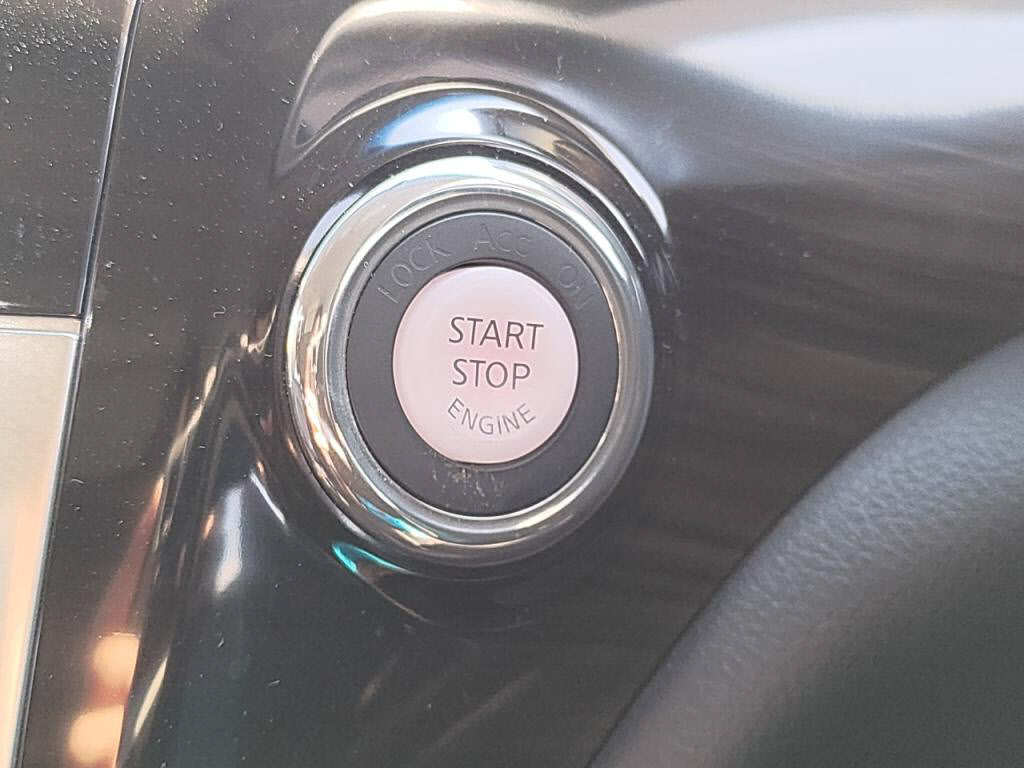 エルグランドハイウェイスタープレミアムアーバンクロムの写真 13