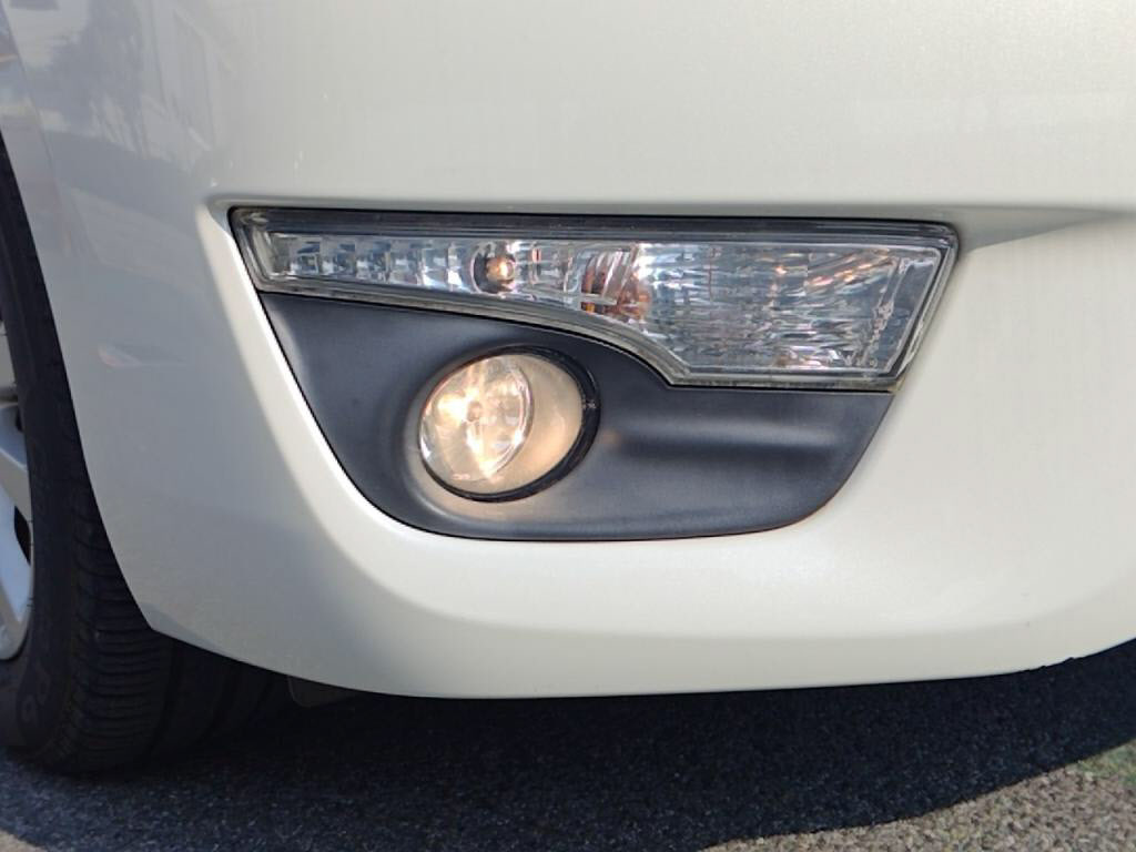 ティアナＸＬの写真 10