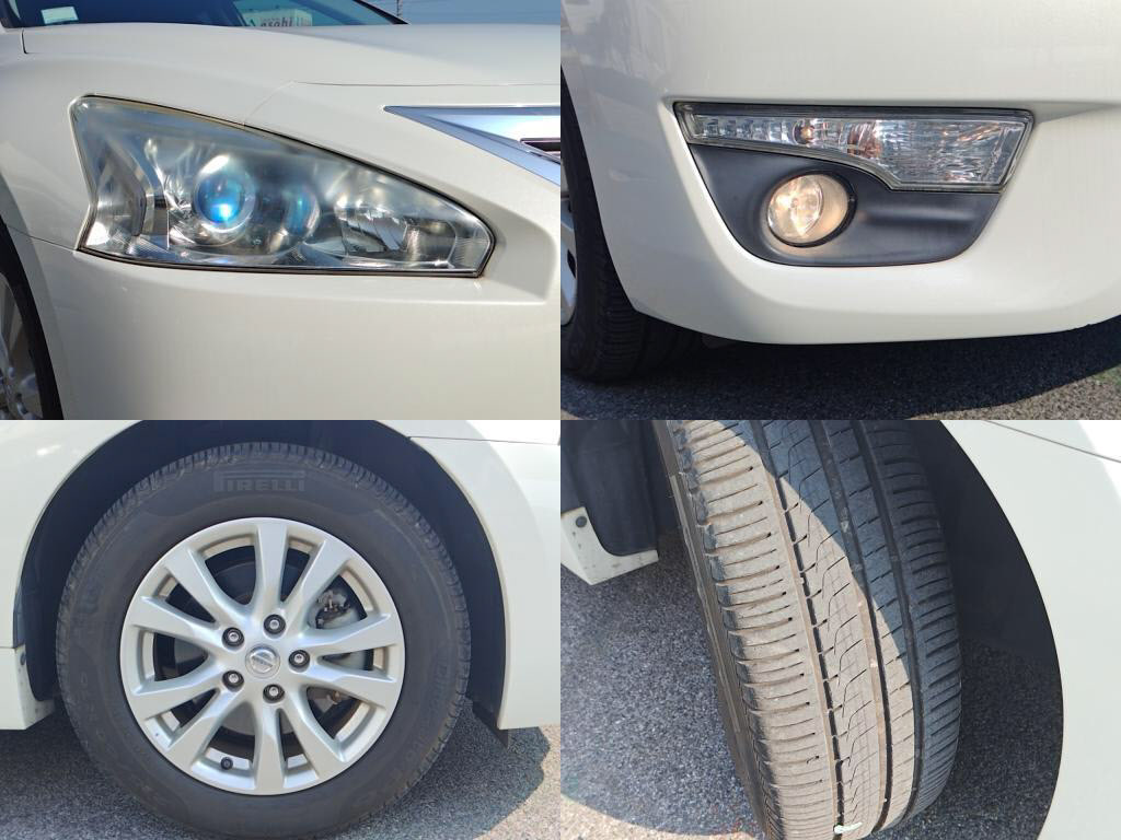 ティアナＸＬの写真 4