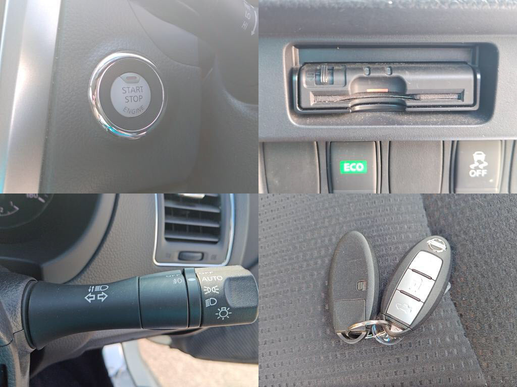 ティアナＸＬの写真 5