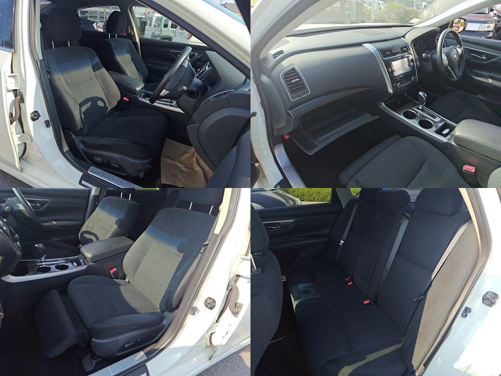 ティアナＸＬの写真 7