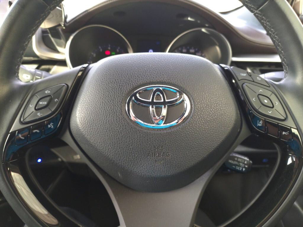 Ｃ－ＨＲＧ－Ｔの写真 17