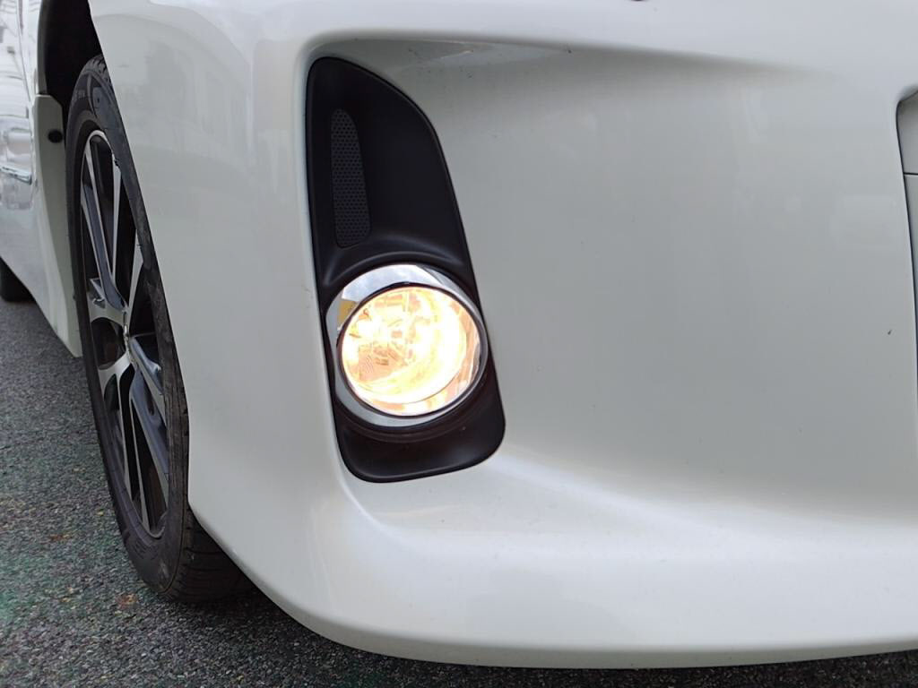 エスティマアエラスプレミアムエディションの写真 10