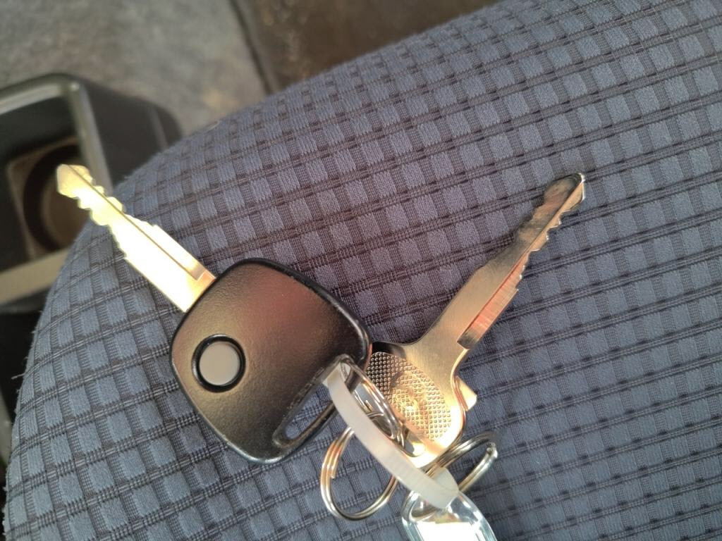 キャロル５ＤＧＬの写真 18