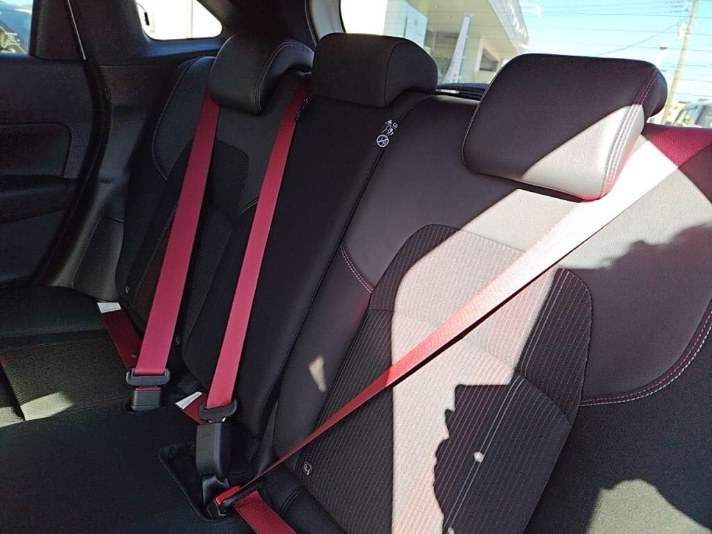 ノートオーラニスモの写真 23