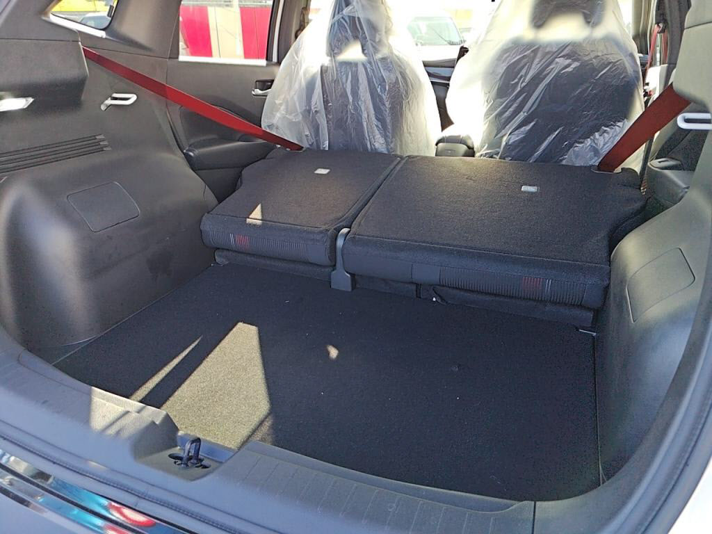 ノートオーラニスモの写真 28