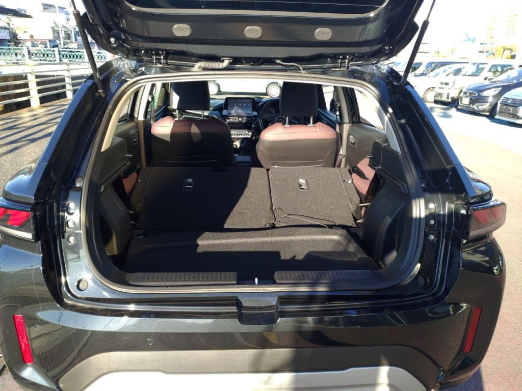 フロンクスヒョウジュンの写真 28