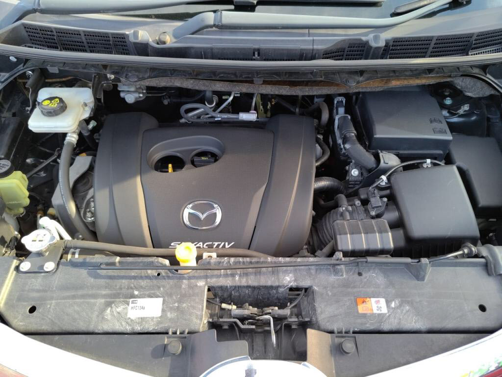 ビアンテグランツ－スカイアクティブの写真 30