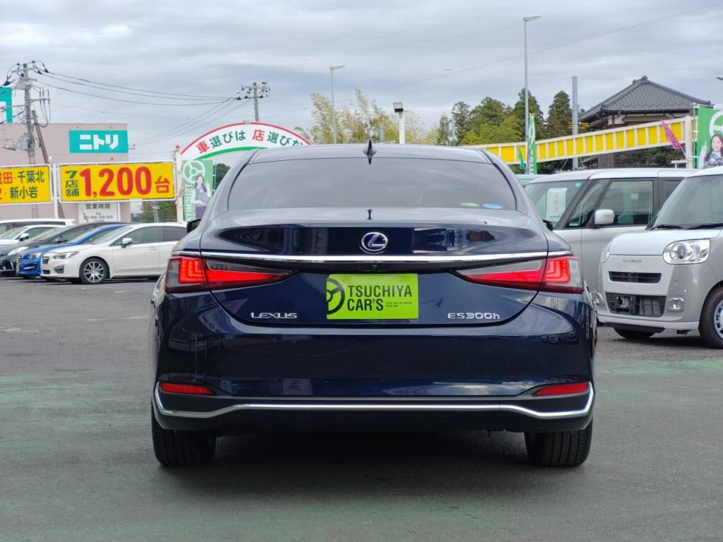 ＥＳＥＳ３００ｈの写真 10