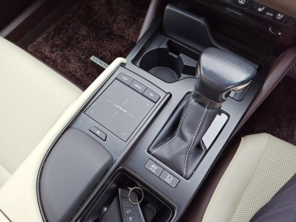 ＥＳＥＳ３００ｈの写真 17