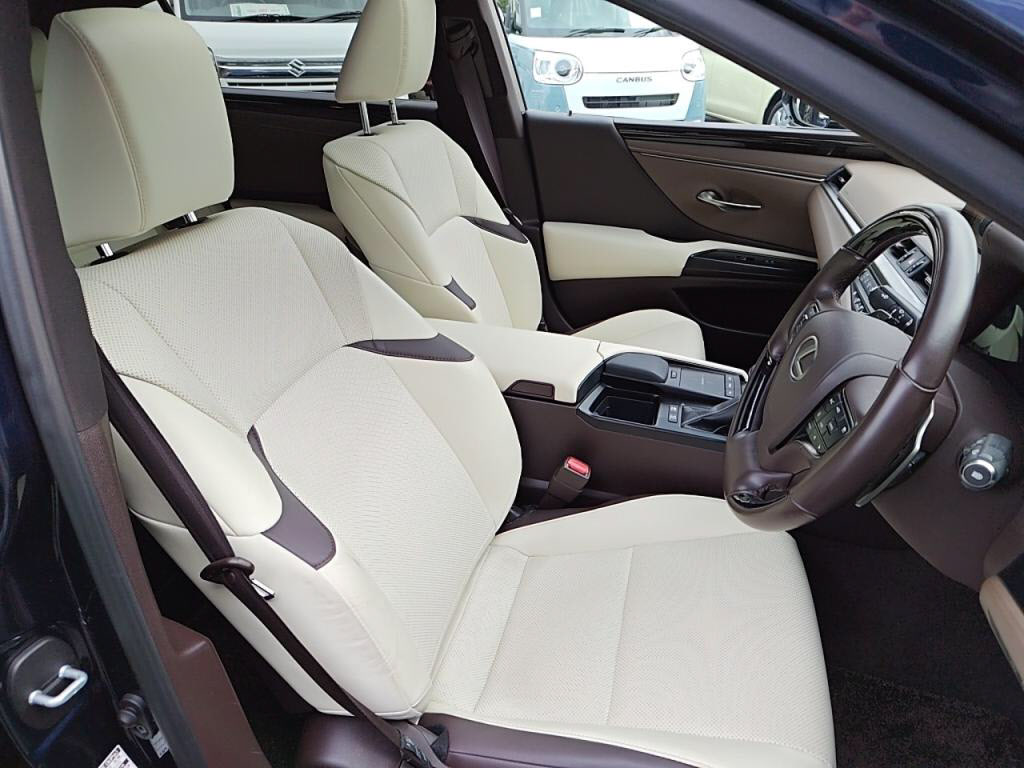 ＥＳＥＳ３００ｈの写真 21