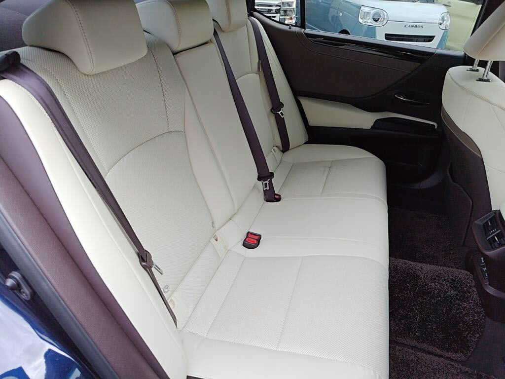 ＥＳＥＳ３００ｈの写真 24