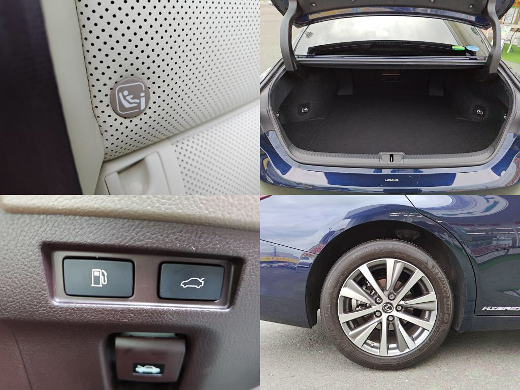 ＥＳＥＳ３００ｈの写真 8