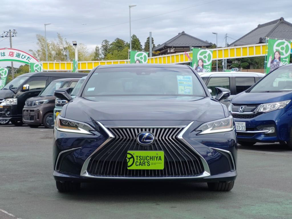 ＥＳＥＳ３００ｈの写真 9