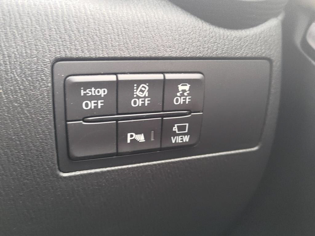 デミオ１５Ｓノーブルクリムゾンの写真 13