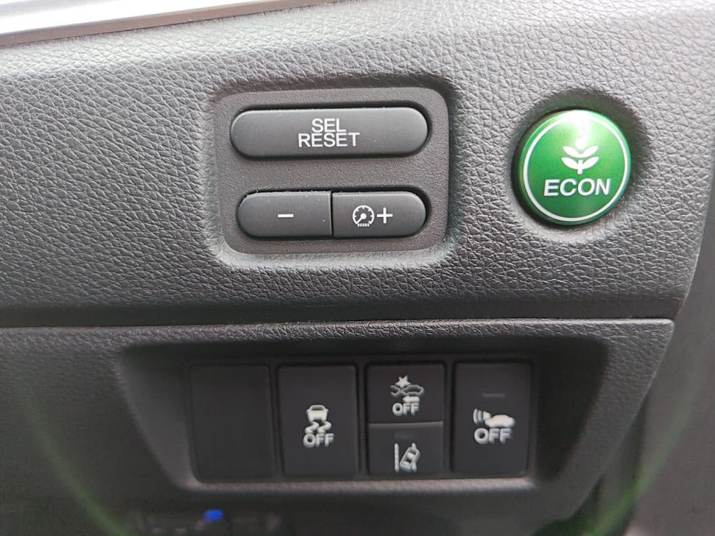 ジェイドハイブリッドハイブリッドの写真 11