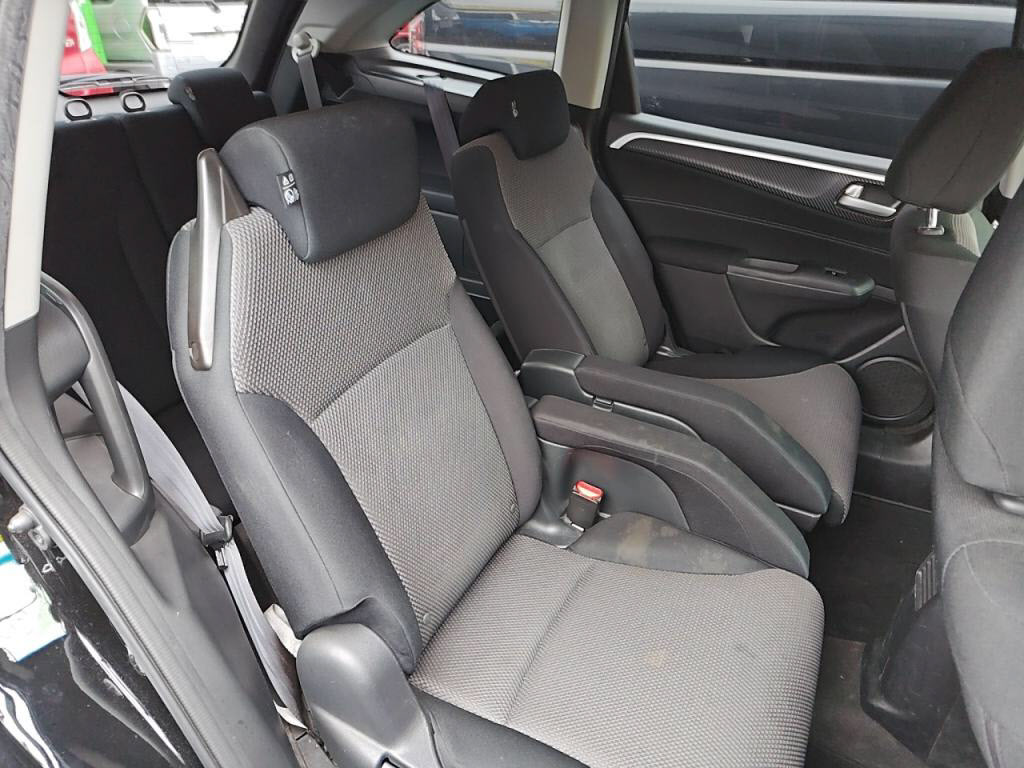 ジェイドハイブリッドハイブリッドの写真 15