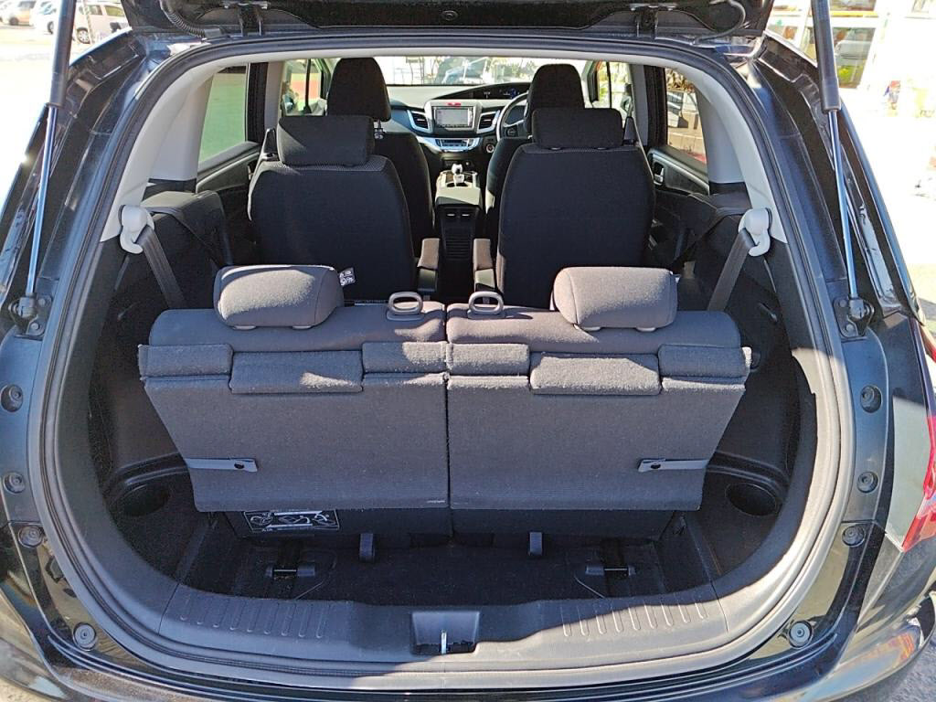 ジェイドハイブリッドハイブリッドの写真 25