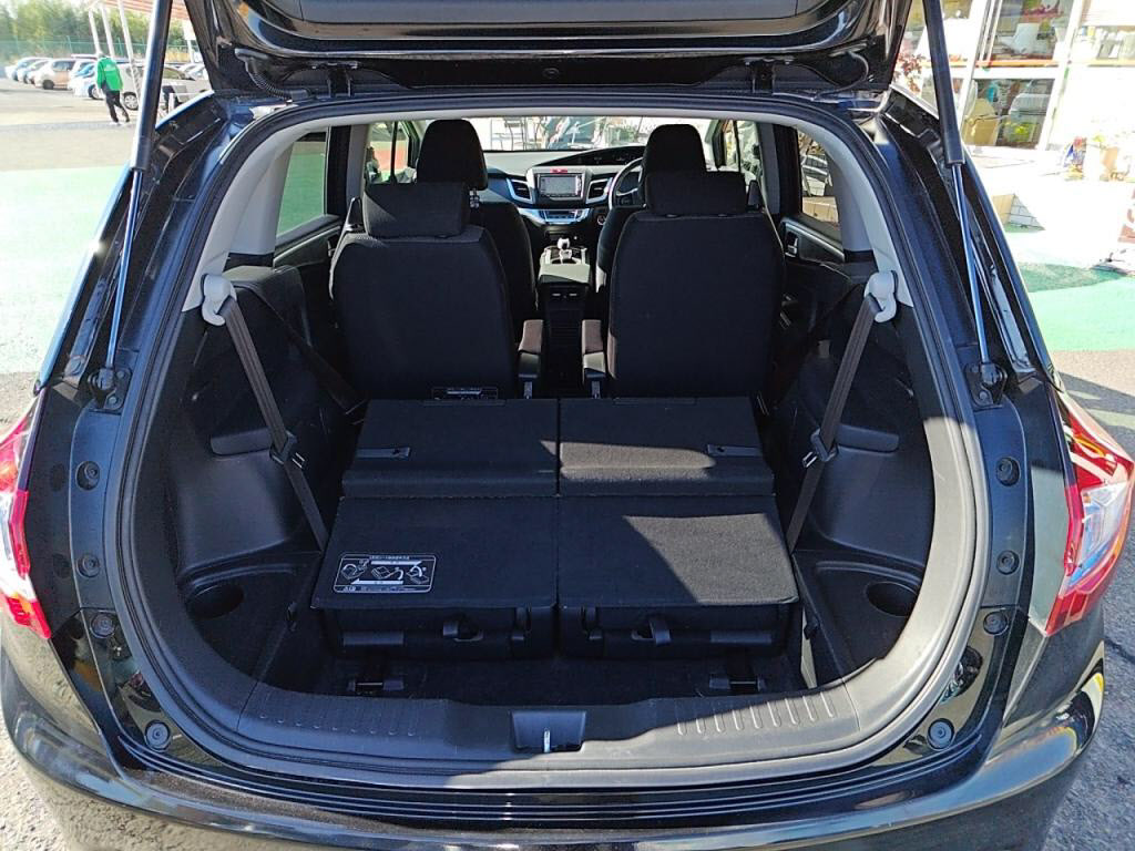 ジェイドハイブリッドハイブリッドの写真 26