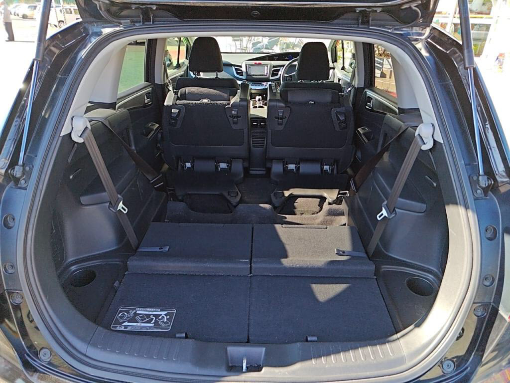 ジェイドハイブリッドハイブリッドの写真 27