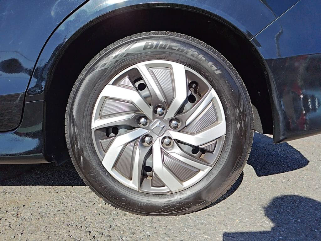 ジェイドハイブリッドハイブリッドの写真 28