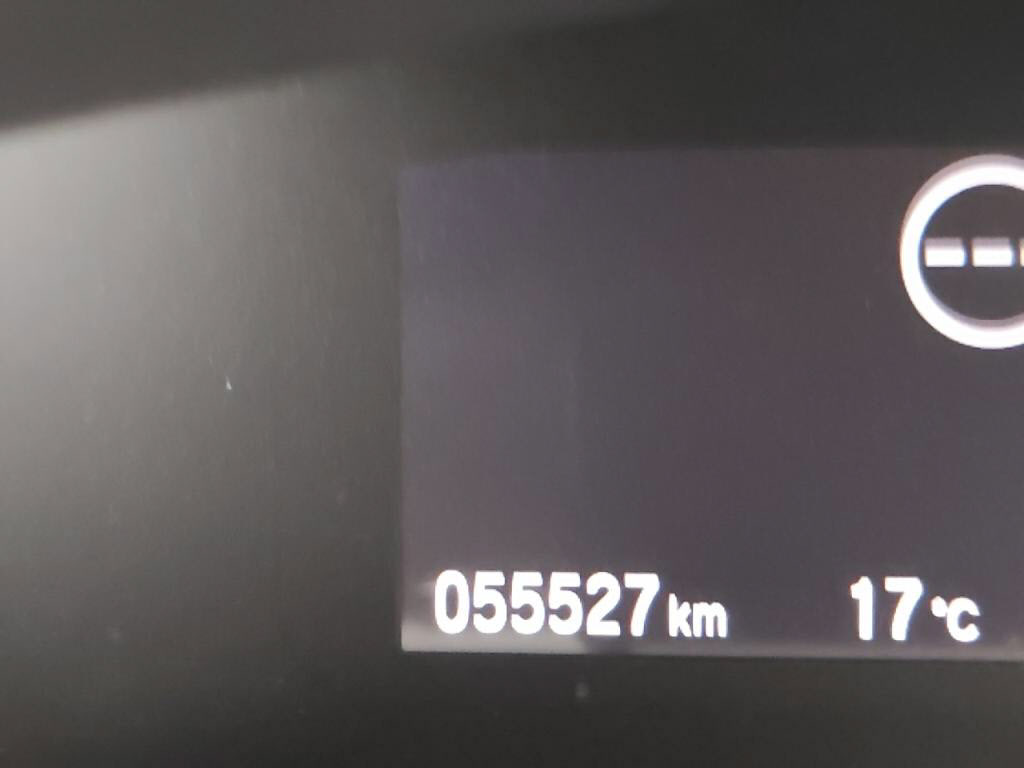 ジェイドハイブリッドハイブリッドの写真 17