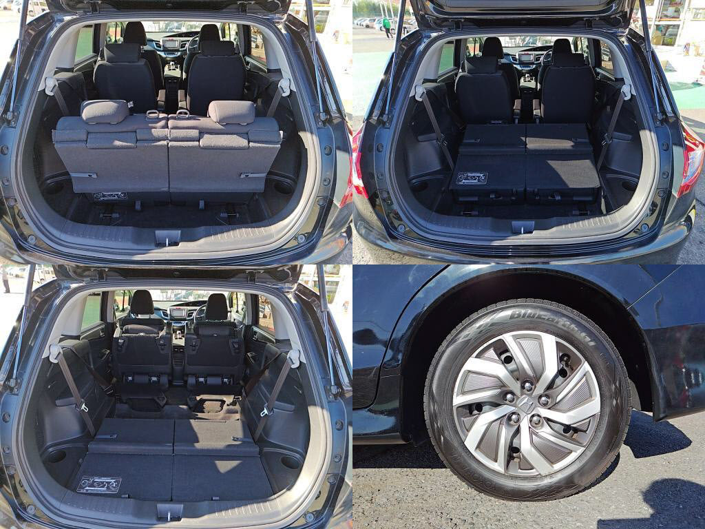 ジェイドハイブリッドハイブリッドの写真 8