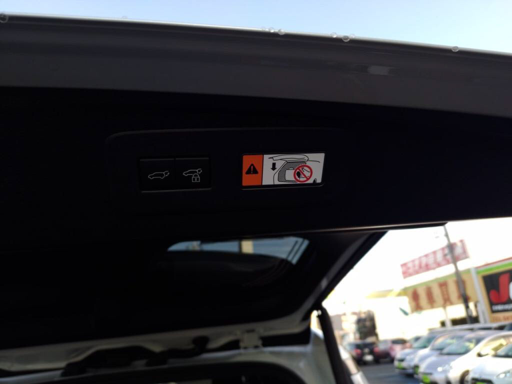 ランドクルーザー２５０ＺＸの写真 30