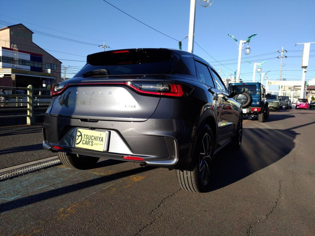 ＬＢＸハイブリッドクールの写真 2