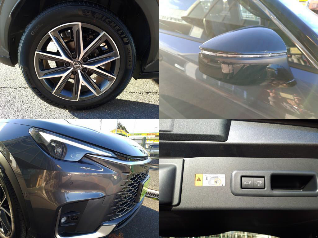 ＬＢＸハイブリッドクールの写真 8