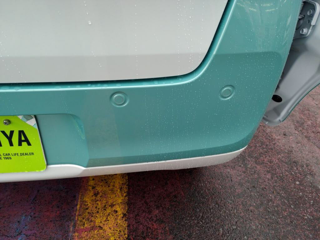 ムーヴキャンバスストライプスＸの写真 30