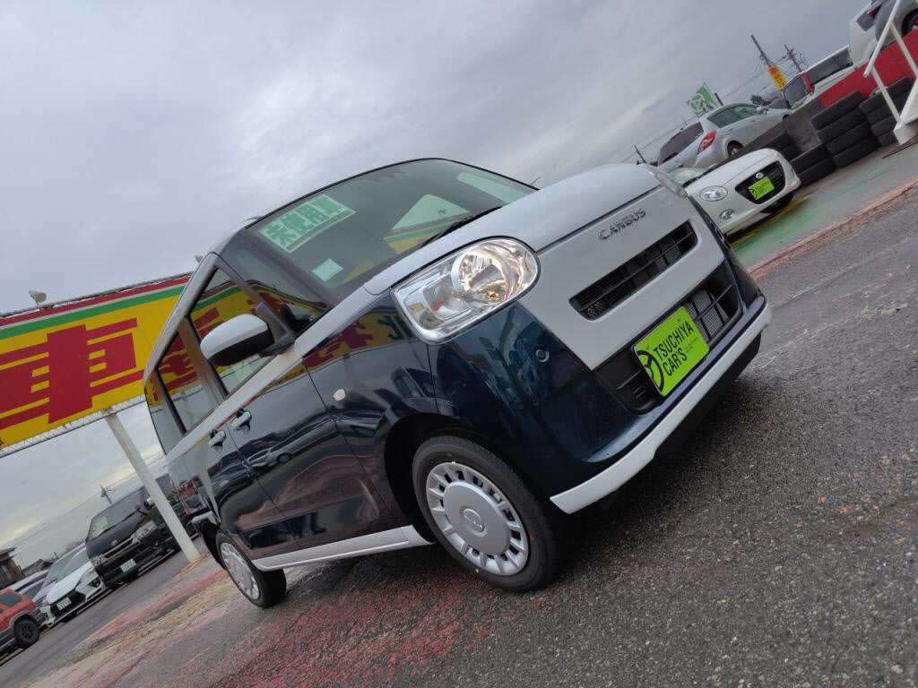 ムーヴキャンバスストライプスＸの写真 25