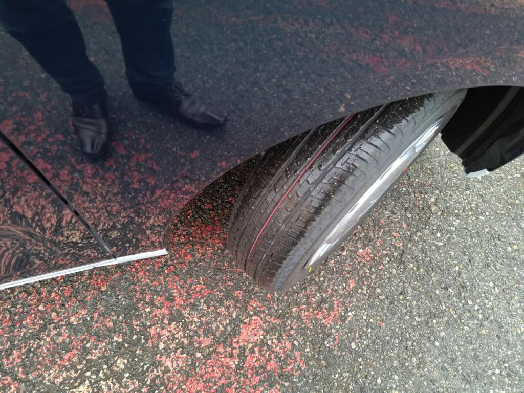 ムーヴキャンバスストライプスＸの写真 28