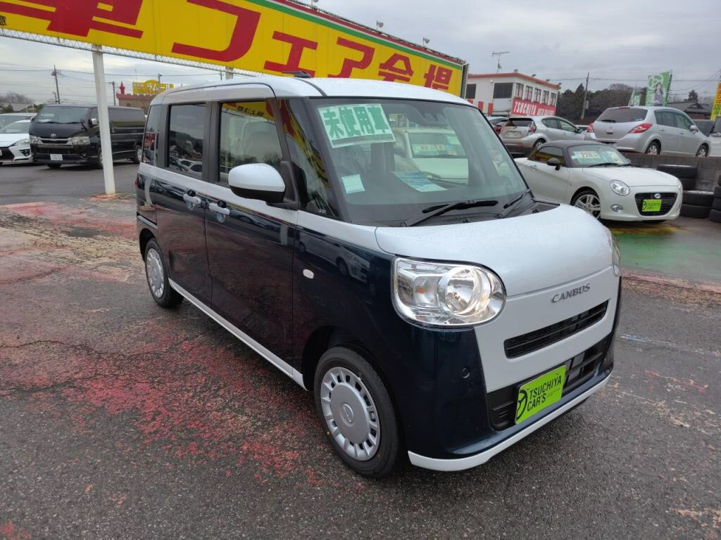 ムーヴキャンバスストライプスＸの写真 9