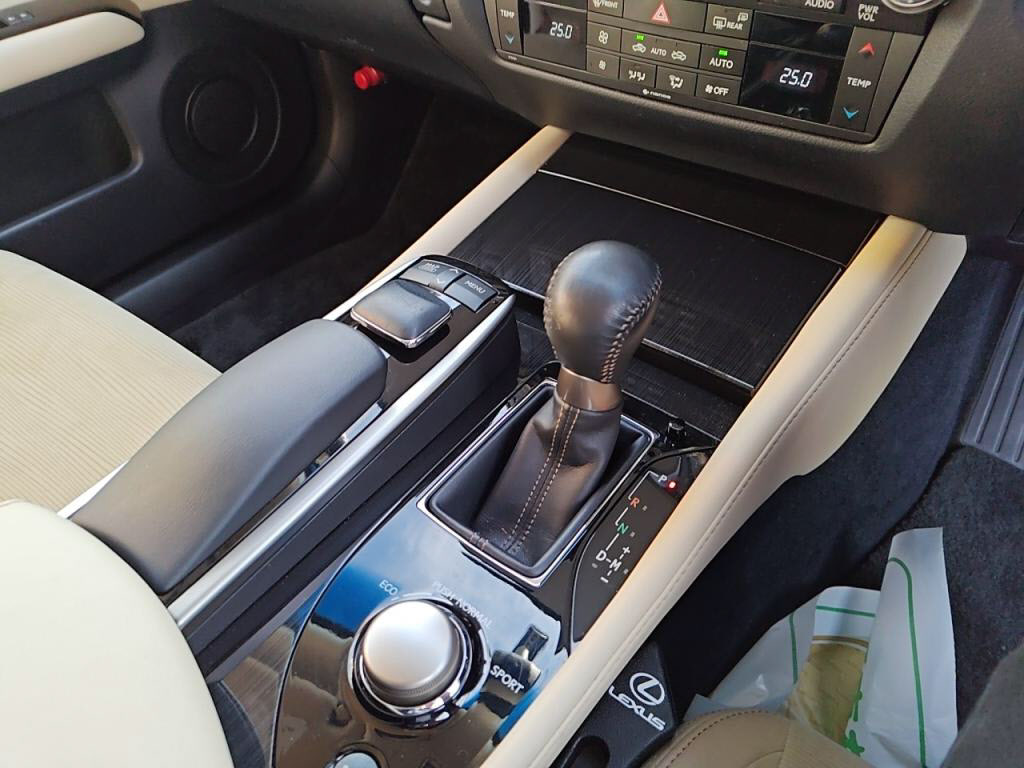 ＧＳＧＳ２５０の写真 20