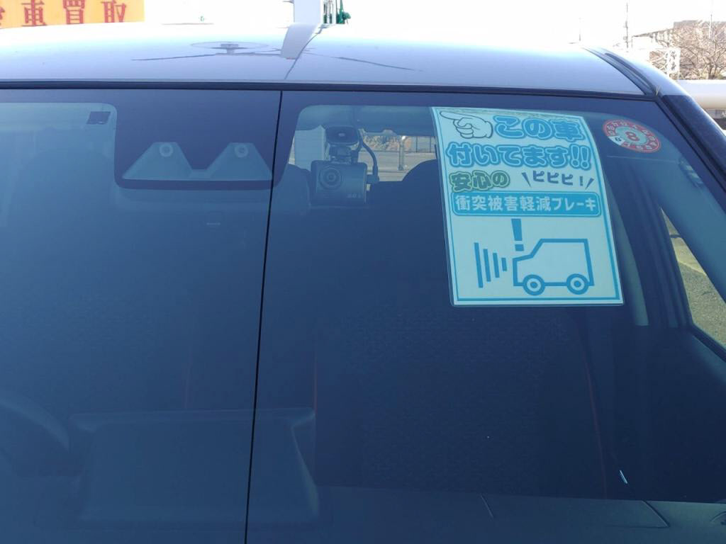 ライズハイブリッドハイブリッドＺの写真 11