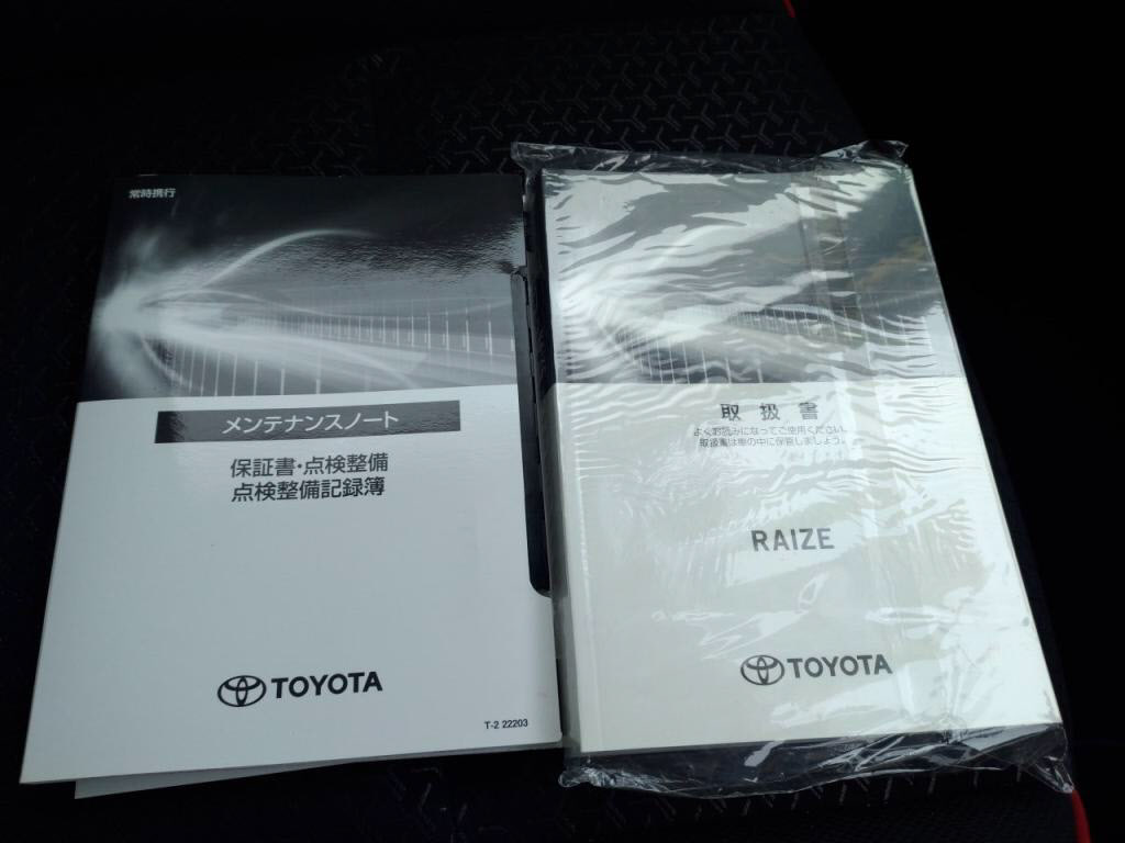 ライズハイブリッドハイブリッドＺの写真 20