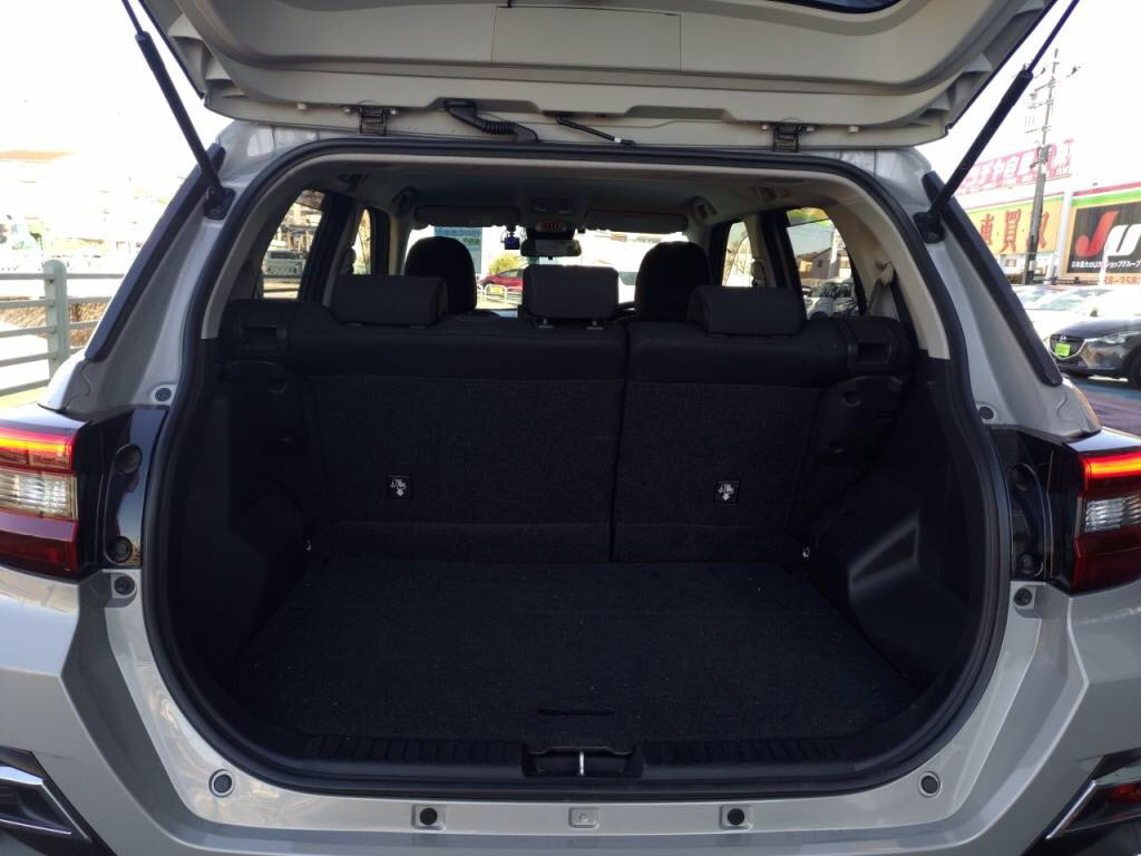 ライズハイブリッドハイブリッドＺの写真 25