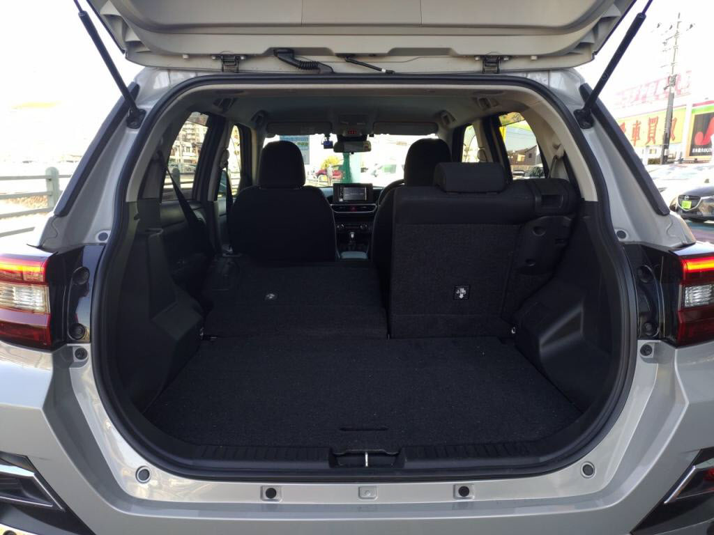 ライズハイブリッドハイブリッドＺの写真 26