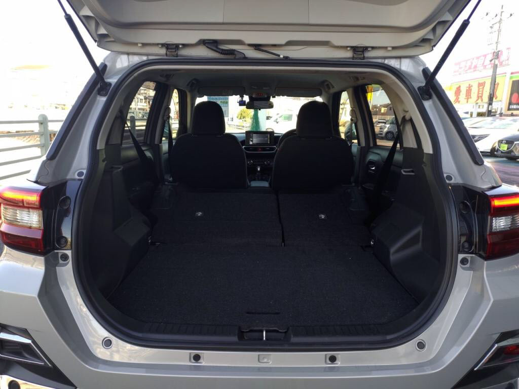 ライズハイブリッドハイブリッドＺの写真 27