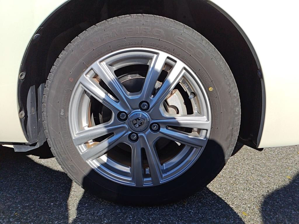 スペイドＦクイーンの写真 10