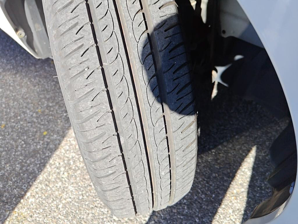 スペイドＦクイーンの写真 11