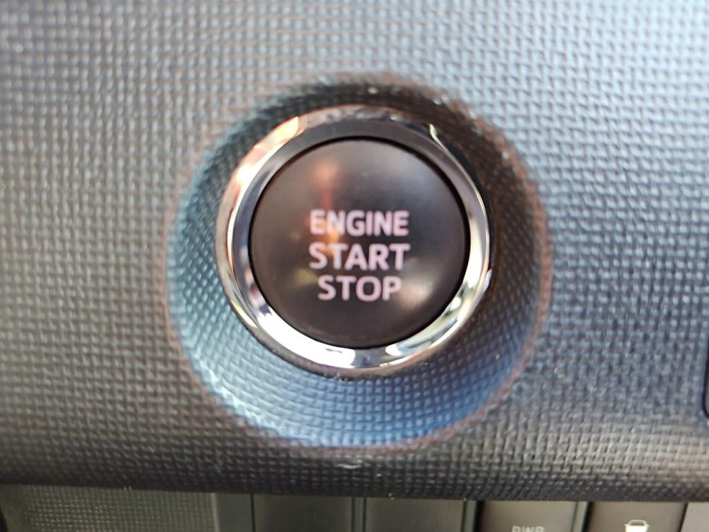 スペイドＦクイーンの写真 13