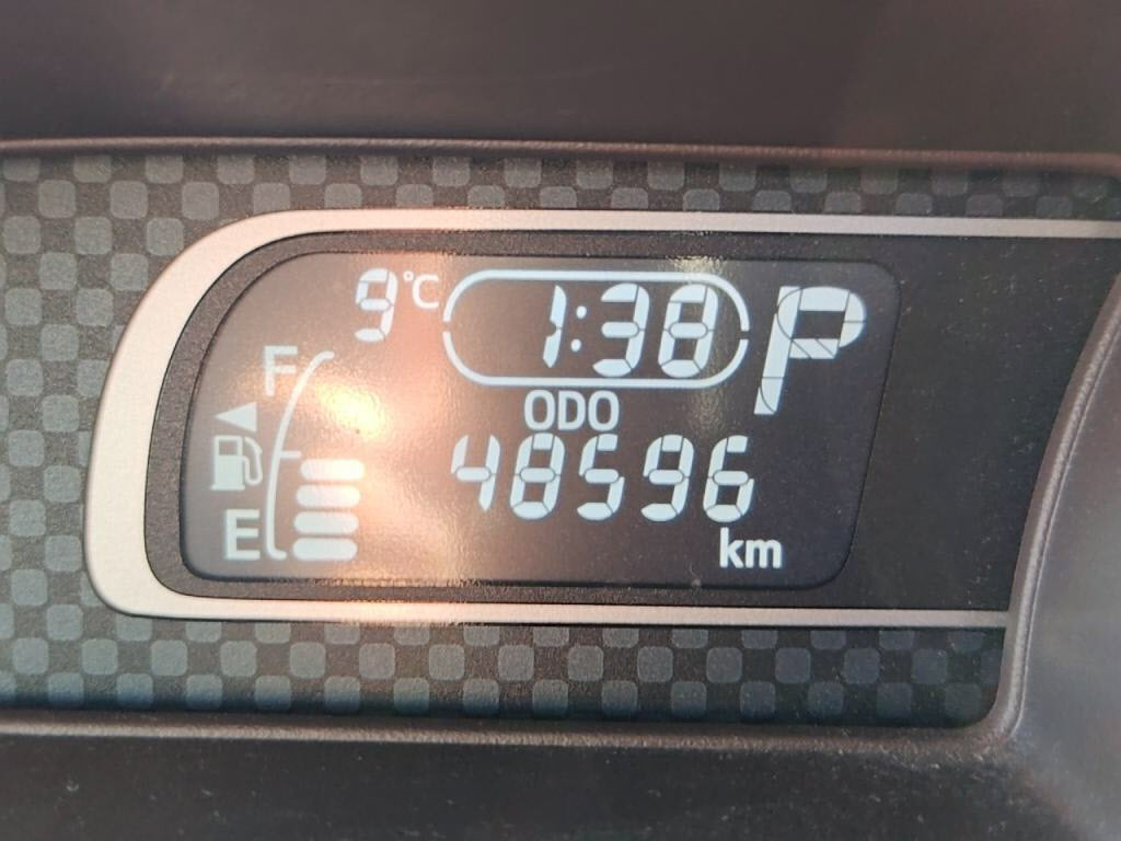 スペイドＦクイーンの写真 29